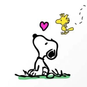 Meet your Posher, Marcelina